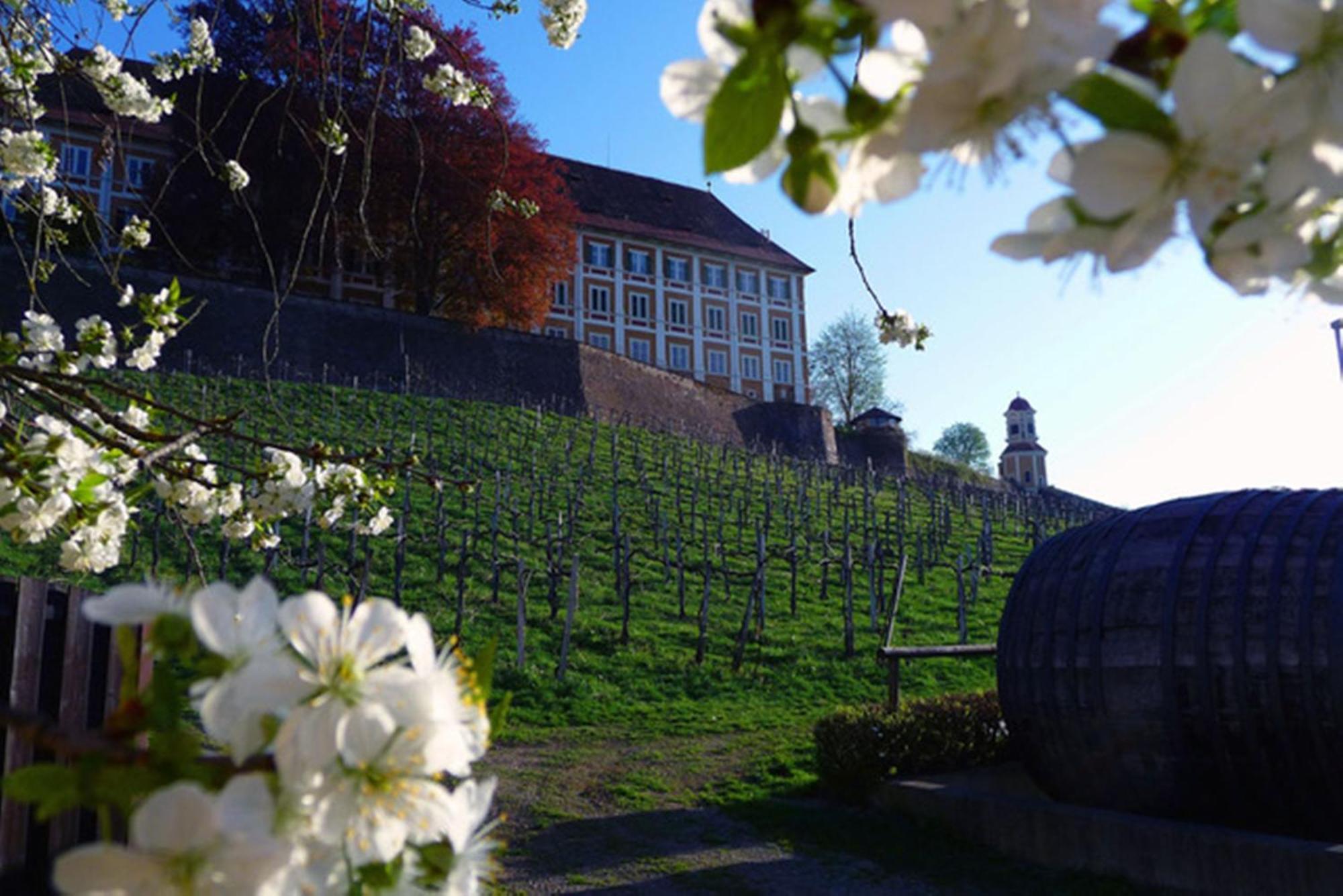 Hotel Stainzerhof Luaran gambar